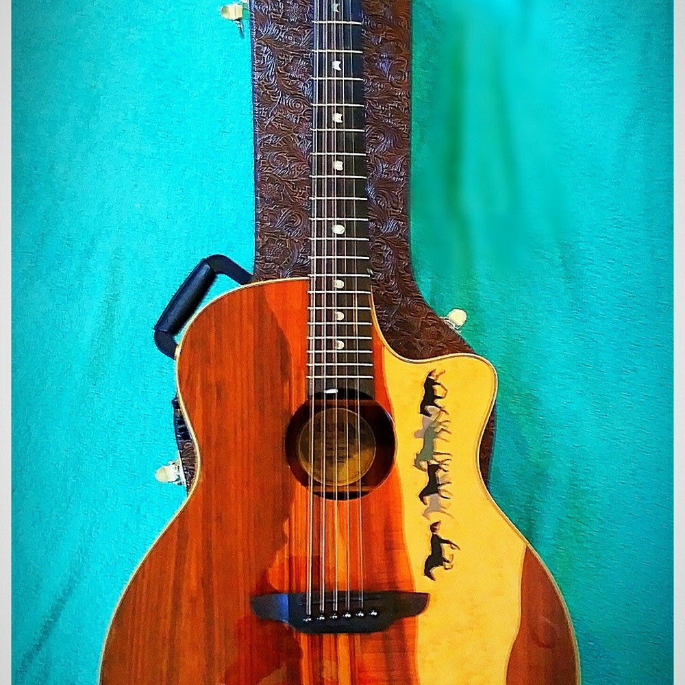 Luna Electric/Acoustic guitar with Case